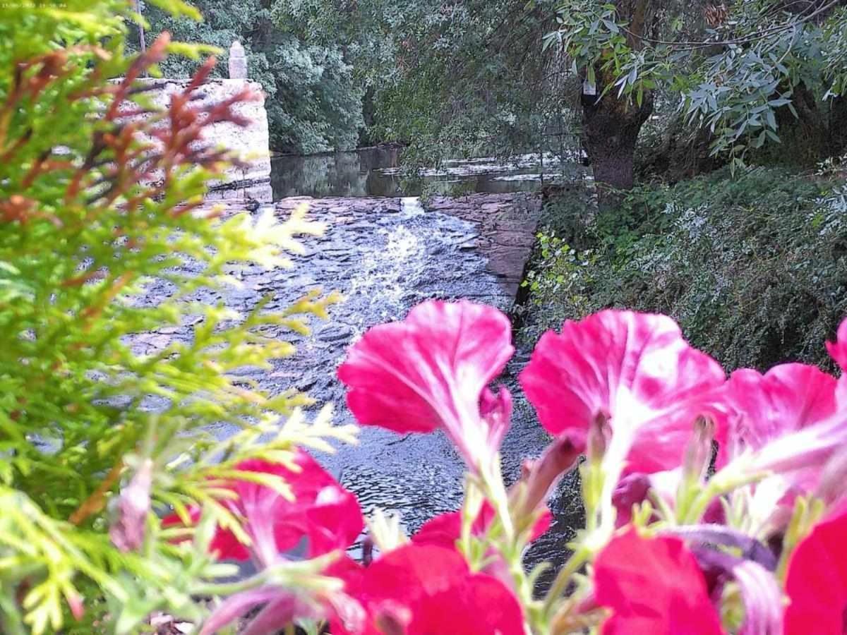 Appartamento Casa del Puente junto a la muralla Ávila Esterno foto